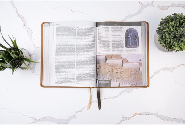 Biblia Tierra Santa