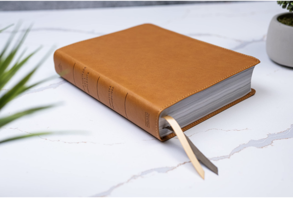 Biblia Tierra Santa