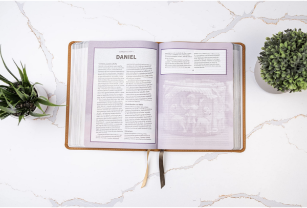 Biblia Tierra Santa